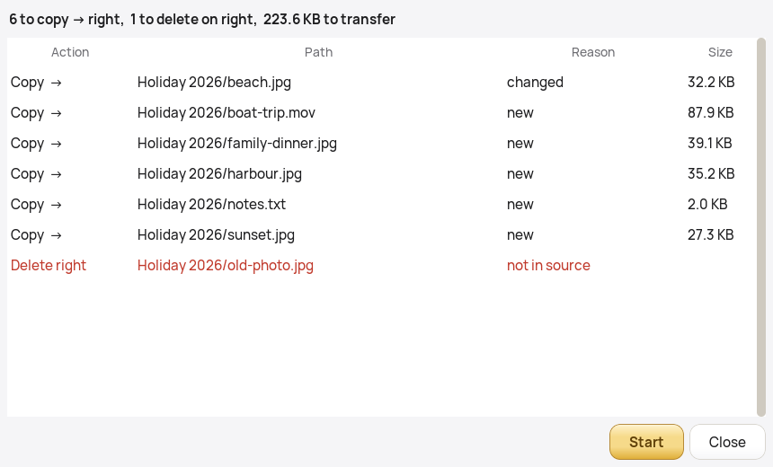 A trial run list: 6 to copy to the right, 1 to delete on the right, 223.6 KB to transfer. Each row shows the action, the path, the reason and the size.